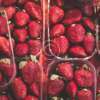 Strawberry - Ảnh 2